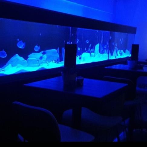 The New Blue Horse Suite At The Grumpy Schnauzer B&B Luxury Private Indoor Hot Tub Breakfast In Bed Ердрі Екстер'єр фото