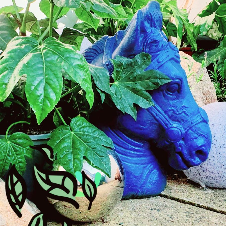 The New Blue Horse Suite At The Grumpy Schnauzer B&B Luxury Private Indoor Hot Tub Breakfast In Bed Ердрі Екстер'єр фото